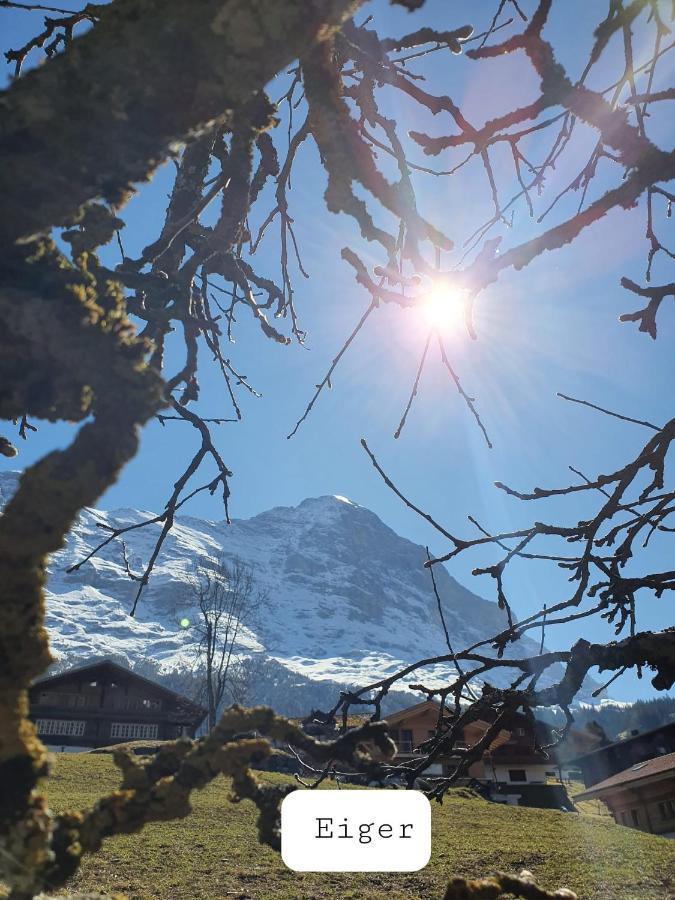 Chalet Waergistal Гріндельвальд Екстер'єр фото